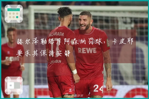 赫尔泽勒怒斥阿森纳罚球，卡皮耶要求其保持安静