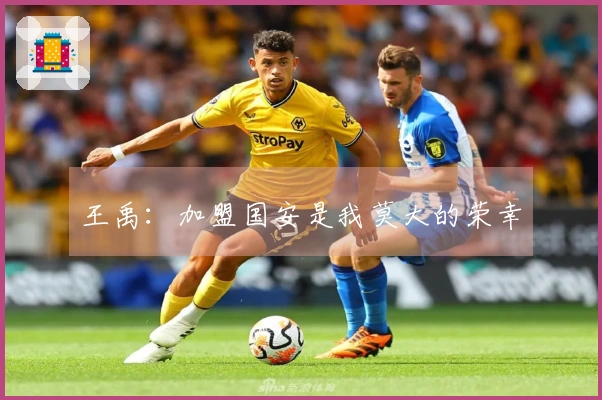 王禹：加盟国安是我莫大的荣幸