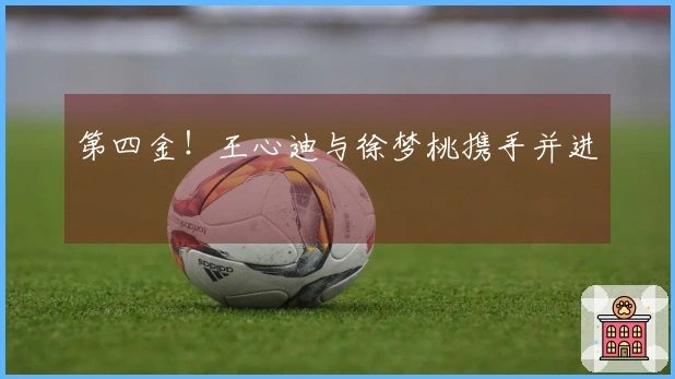 第四金！王心迪与徐梦桃携手并进