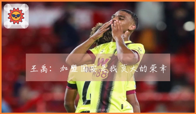 王禹：加盟国安是我莫大的荣幸